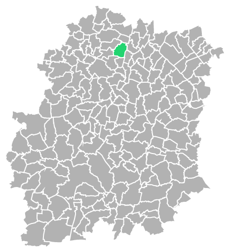 Destruction guepes et frelons à Saulx-les-Chartreux (Essonne-91)