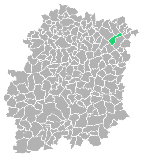 Destruction guepes et frelons à Soisy-sur-Seine (Essonne-91)