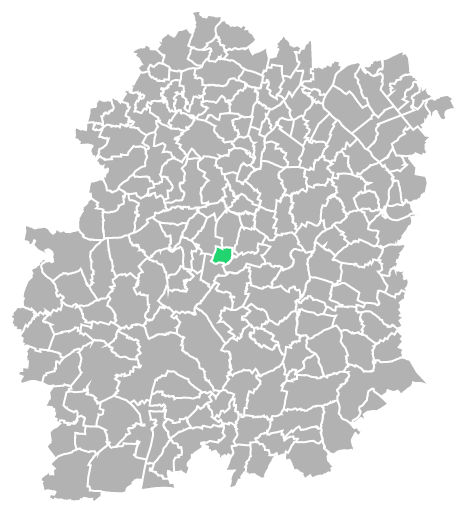 Destruction guepes et frelons à Torfou (Essonne-91)