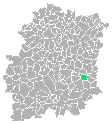 Destruction guepes et frelons à Videlles (Essonne-91)