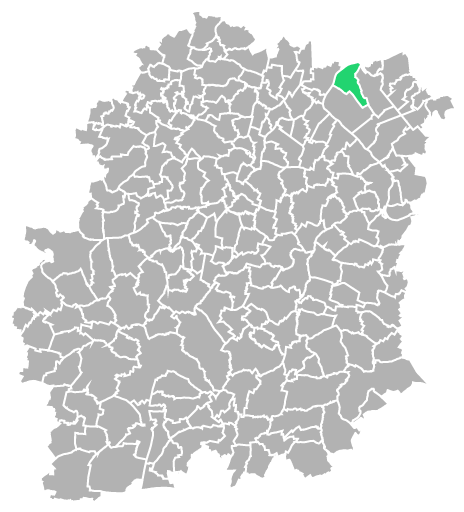 Destruction guepes et frelons à Vigneux-sur-Seine (Essonne-91)