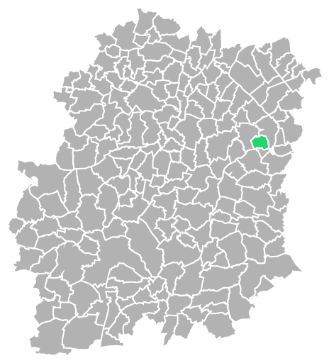 Destruction guepes et frelons à Villabé (Essonne-91)