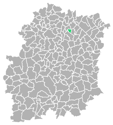 Destruction guepes et frelons à Villemoisson-sur-Orge (Essonne-91)