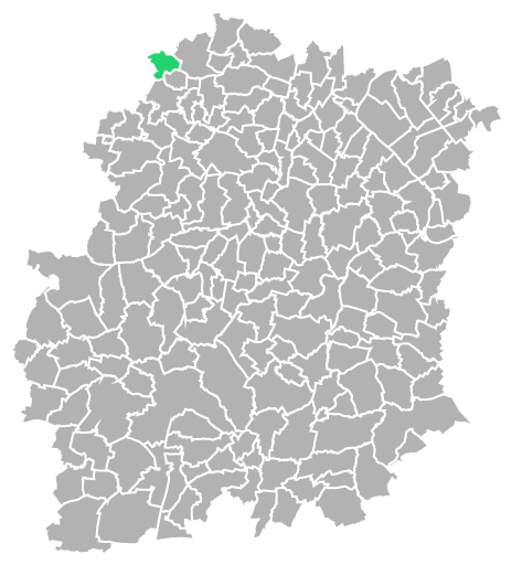 Destruction guepes et frelons à Villiers-le-Bâcle (Essonne-91)