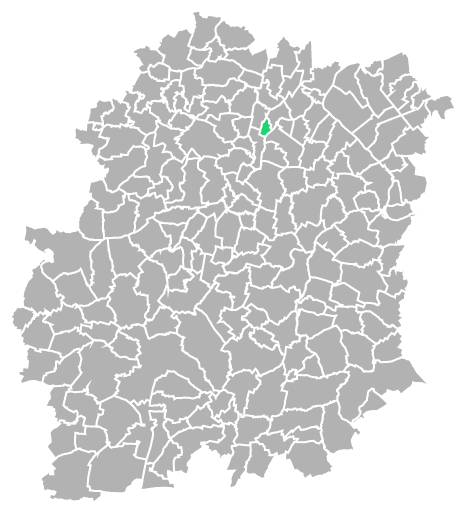 Destruction guepes et frelons à Villiers-sur-Orge (Essonne-91)