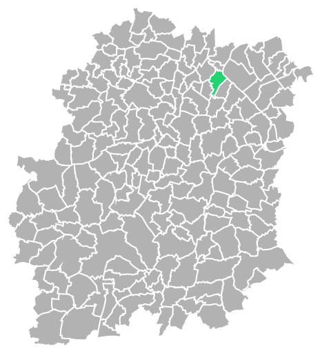 Destruction guepes et frelons à Viry-Châtillon (Essonne-91)
