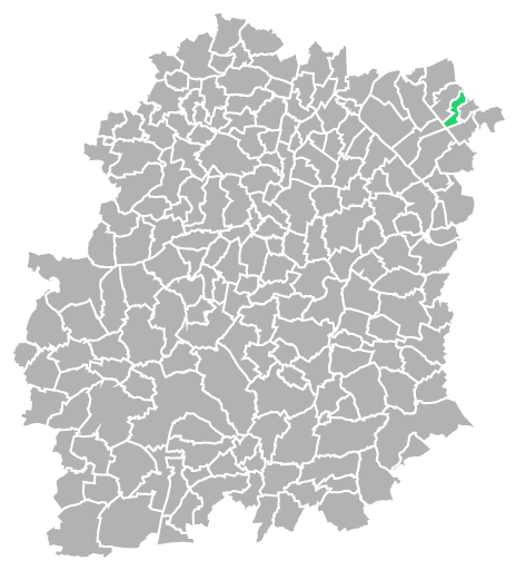 Destruction guepes et frelons à Épinay-sous-Sénart (Essonne-91)