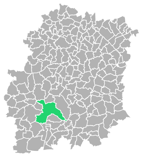 Destruction guepes et frelons à Étampes (Essonne-91)