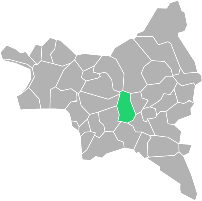 Destruction guepes et frelons à Bondy (Seine-saint-Denis-93)